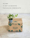 Potho Variegado N'Joy Mini packaging