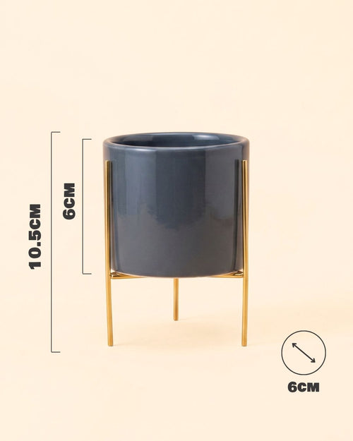 Super Mini maceta gris con soporte size
