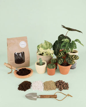 Sustratos_Organicos_para_Plantas