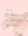 Syngonium_Neon_Pink_mini_care