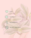 Tradescantia Nanouk Mini care