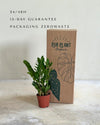 Zamioculca_zamiifolia_packaging