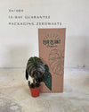 alocasia-red-secret-m-packaging