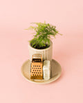 Ambientador Sustentável Branco com Mini Planta
