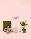 Antique Terrario Bol 24cm - Pur Plant
