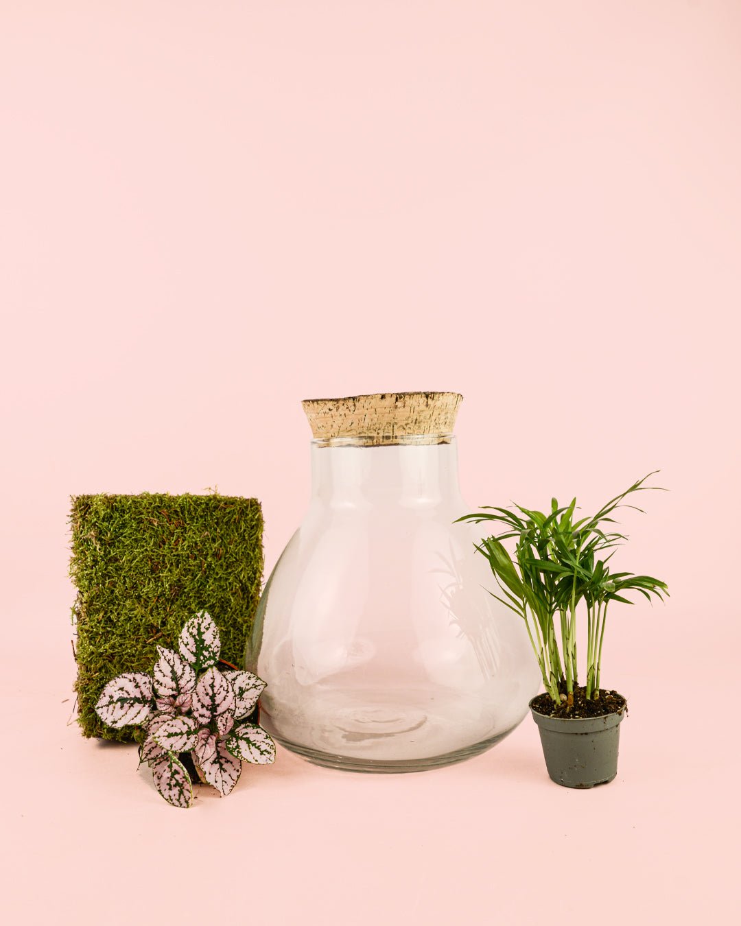 Antique Terrario Bol 24cm - Pur Plant