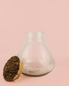Antique Terrario Bol 24cm - Pur Plant