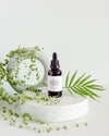 Beauty Plant Box - Ritual de Belleza para Hojas Brillantes - Pur Plant