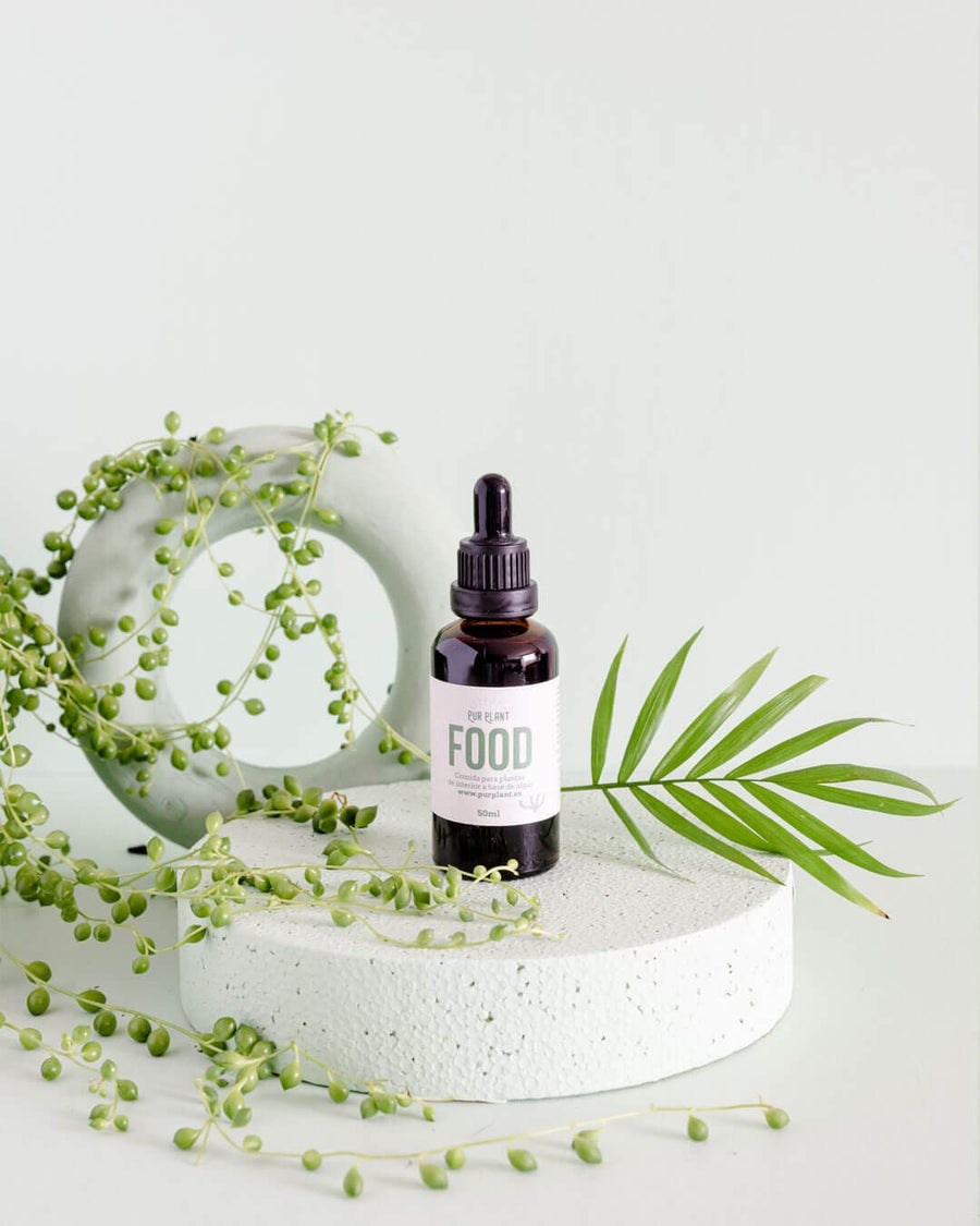 Beauty Plant Box - Ritual de Belleza para Hojas Brillantes - Pur Plant