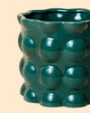 Bob – Maceta Cerámica Esmeralda M 12 cm - zoom - Pur Plant