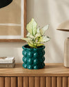 Bob – Maceta Cerámica Esmeralda M 12 cm - decoracion - Pur Plant