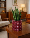 Bob – Maceta Cerámica Magenta M 12 cm - Pur Plant