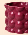Bob – Maceta Cerámica Magenta M 12 cm - Pur Plant