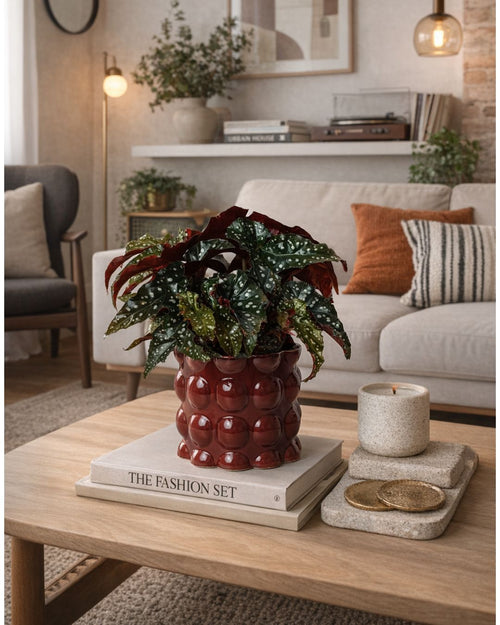 Bob – Maceta Cerámica Roja M 12 cm - Pur Plant
