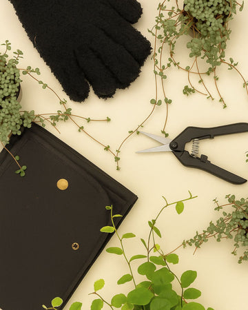 Botanic Tools – Limpa, Poda e Transplanta