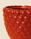 Bubble – Maceta Cerámica Roja 12 cm - Pur Plant