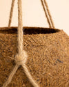 Coco Hang – Maceta Colgante de Coco 12 cm - Pur Plant