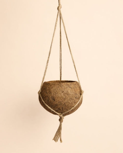 Coco Hang – Maceta Colgante de Coco 12 cm - Pur Plant