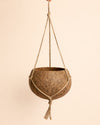 Coco Hang – Maceta Colgante de Coco 15 cm - Pur Plant