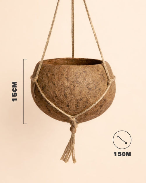 Coco Hang – Maceta Colgante de Coco 15 cm - Pur Plant