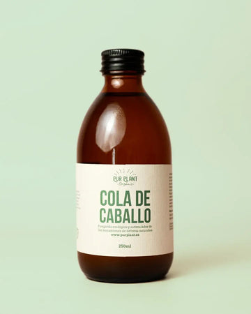 Cavalinha – Orgânico 250ml