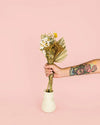 Colmar – Ramo Flores Secas Naturales - Pur Plant