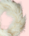 Corona Blanca - Pur Plant