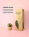 Crassula Ovata – Árbol de Jade M - Pur Plant