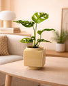 Cube – Mini Maceta Cerámica Beige 9 cm - Pur Plant