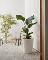Cubo - Macetero blanco XL 33 cm - Pur Plant