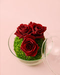 Cupido – Rosas Preservadas Mini Bowl