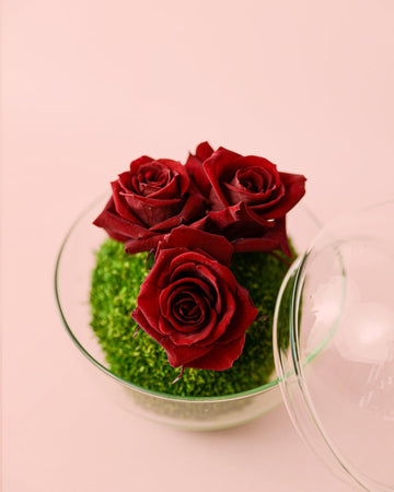 Cupido – Rosas Preservadas Mini Bowl