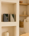 Duo Decorativo – Suculentas - Pur Plant