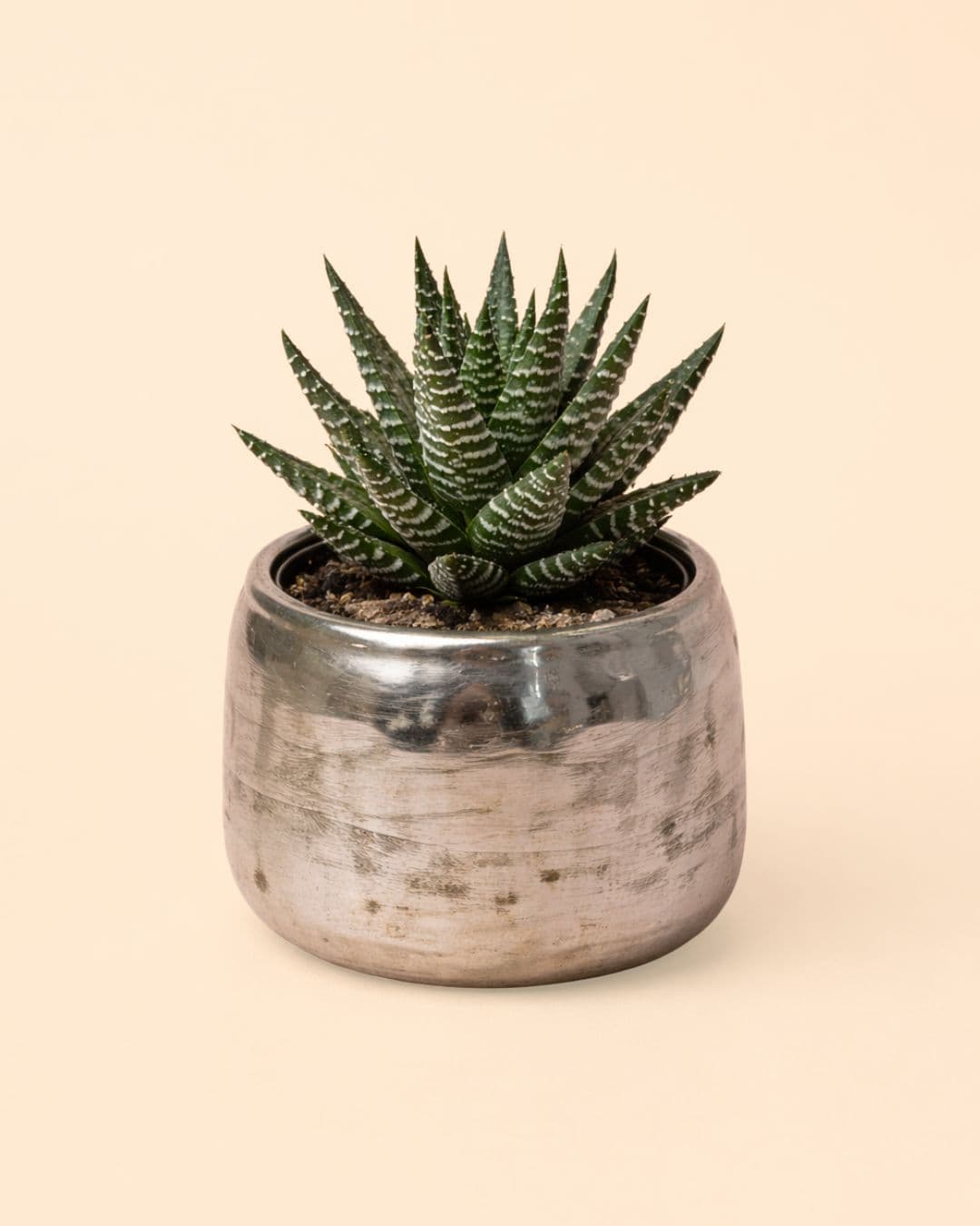 Elegans Silver – Mini Maceta Plateada 6 cm - Pur Plant