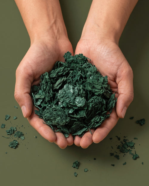 Espirulina 500 mg Biológica, 300 comprimidos