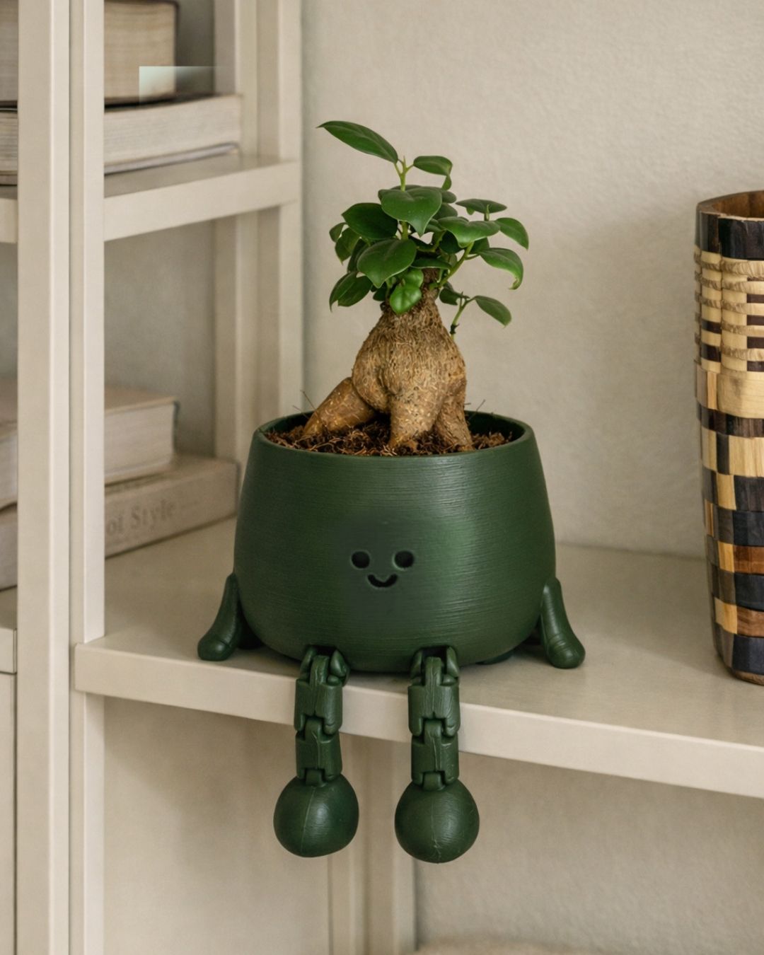Detalle del tronco y las hojas del Ficus Microcarpa, bonsái de interior — Pur Plant