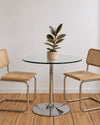 ficus-tineke-m-context-2