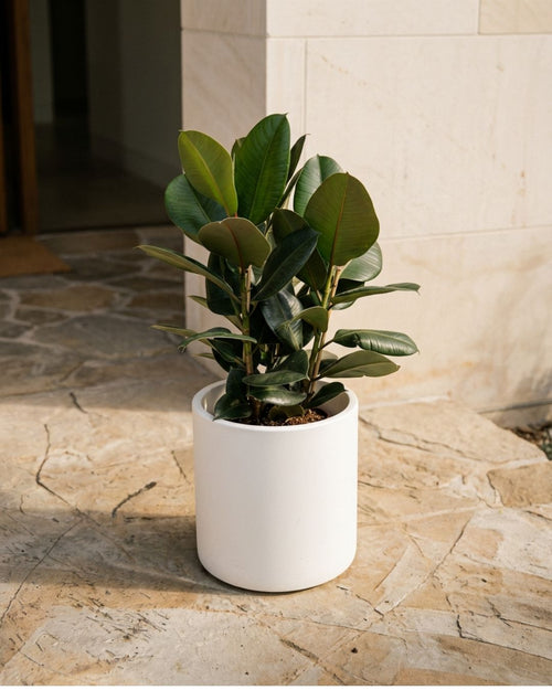 Halo - Macetero blanco XL 40 cm - Pur Plant
