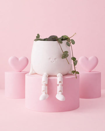 Conjunto de oferta Ceropegia Woodii + Happy Pot Branca