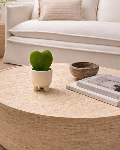 hoya-kerrii-potit-contexto-gift-set_2