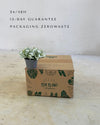 hypoestes-white-mini-packaging
