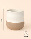 Japandi – Maceta Cerámica M 12 cm - Pur Plant
