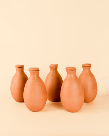 Kit 5x Vasos Auto-Rega Terracota 1L