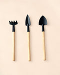 Kit de Ferramentas – Transplante de Mini Plantas e Terrários