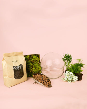 Kit Terrário Crie – DIY G