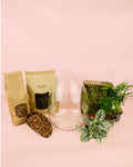 Kit Terrário Genesis – OVO DIY G