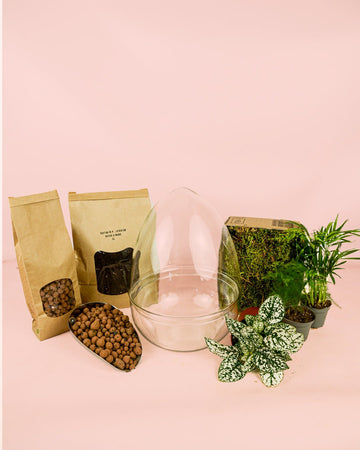 Kit Terrário Genesis – OVO DIY G