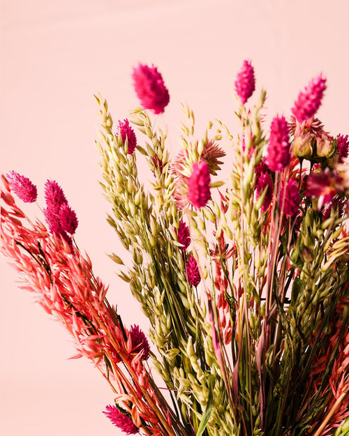 Lady Bird – Ramo de Flores Secas - Pur Plant