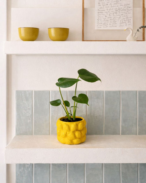Limone – Mini Maceta Cerámica Limones S 6 cm - Pur Plant