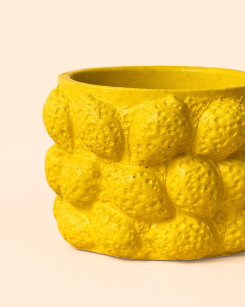 Limone – Mini Maceta Cerámica Limones S 6 cm - Pur Plant